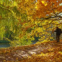 Фотограф в осени... :: Владимир Жданов