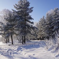 Зима :: Наталия Григорьева