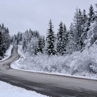 дорога дальняя :: леонид логинов