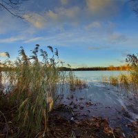 Подступы зимы :: Наталья Лакомова