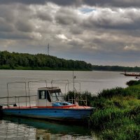 . :: Анастасия Науменко