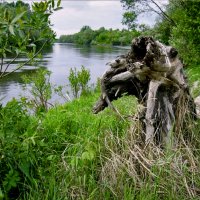 Водяной :: Владимир Сеньковец