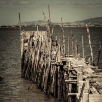 Carrasqueira Setubal Portugal :: Yuriy Rogov