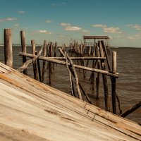 Carrasqueira Setubal Portugal :: Yuriy Rogov