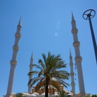 пальма, мечеть, блик :: xmЬIr krooGl0W