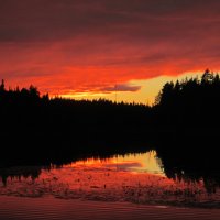 Закат красен :: Оксана Кузнецова