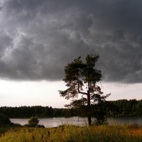 Перед грозой :: Надежда Кондр