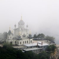 В тумане :: Людмила Белая