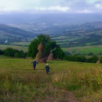 Сфотографировано планшетом :: Владимир ЯЩУК