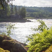 река Водла :: Ольга Отвалко