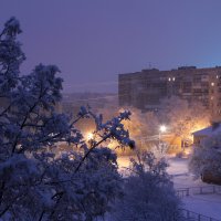 утренний снегопад :: Александр Пащенко