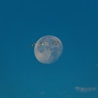 Про Луну :: Владимир Колесников
