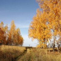 осень :: Владимир Холодницкий