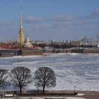 Санкт-Петербург. :: Харис 