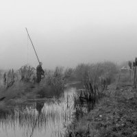 Рыбак в тумане ... :: Игорь 