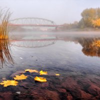 Осенние мотивы :: Владимир Чуприков