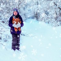 Зимушка ,зима на пятки наступает :: Irina Novikova
