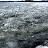 Ледяная шуга на озере. :: Галина Полина