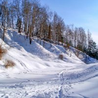 Полесская зима :: Сергей Тарабара