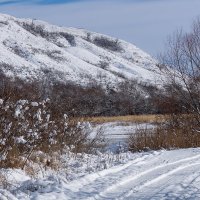 Загородная прогулка :: Игорь Сикорский