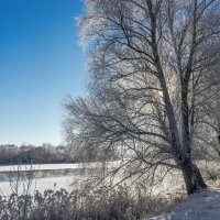 солнышко запуталась :: Михаил 