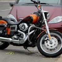 Harley-Davidson :: Надежд@ Шавенкова