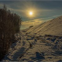 Первый день зимы 2018 № 3 :: Андрей Дворников