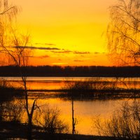 Закат на Костромском водохранилище :: Елена Верховская