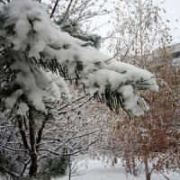 Зима :: Сергей Тимоновский
