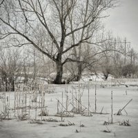 Замёрзший мир. :: Андрий Майковский