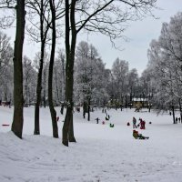 Зима. :: Liudmila LLF