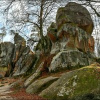 Осень в Карпатах. :: Юрий Гординский