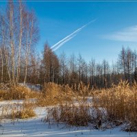 01 декабря :: Андрей Дворников