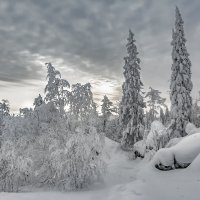 Зимний вечер :: vladimir Bormotov