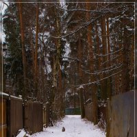 Снег в переулке :: san05 -  Александр Савицкий