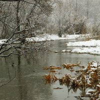 Воздух свежего утра :: олег свирский 