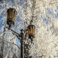 winter day :: Dmitry Ozersky