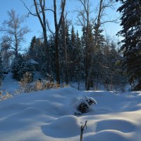 Неведомый зверёк под снегом. :: Валерий Медведев