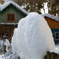 После снегопада :: san05 -  Александр Савицкий