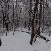 Классический московский декабрь :: Андрей Лукьянов