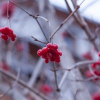 Огни :: Эльвира Сагдиева