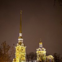 Петропавловский собор. :: Александр Яковлев