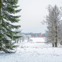Снежный вид в Царском Селе :: Юлия Батурина
