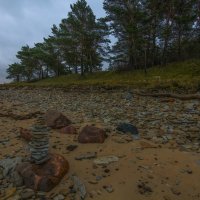 Зимний берег Балтийского моря :: Наталья Левина