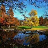 Planten un Blomen Hamburg :: Nina Yudicheva