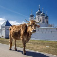 2018.05.01_8030-2  Макарьево корова 1920 :: Дед Егор 