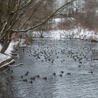 *** :: Владимир Безбородов