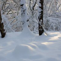 *** :: Владимир Безбородов