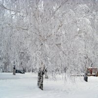 Зима в городе. :: Людмила Грибоедова 