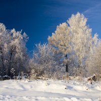 Мороз :: Алексей Екимовских